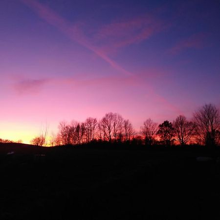 Vila Agroturystyka U Puchatka Rebiszow Exteriér fotografie